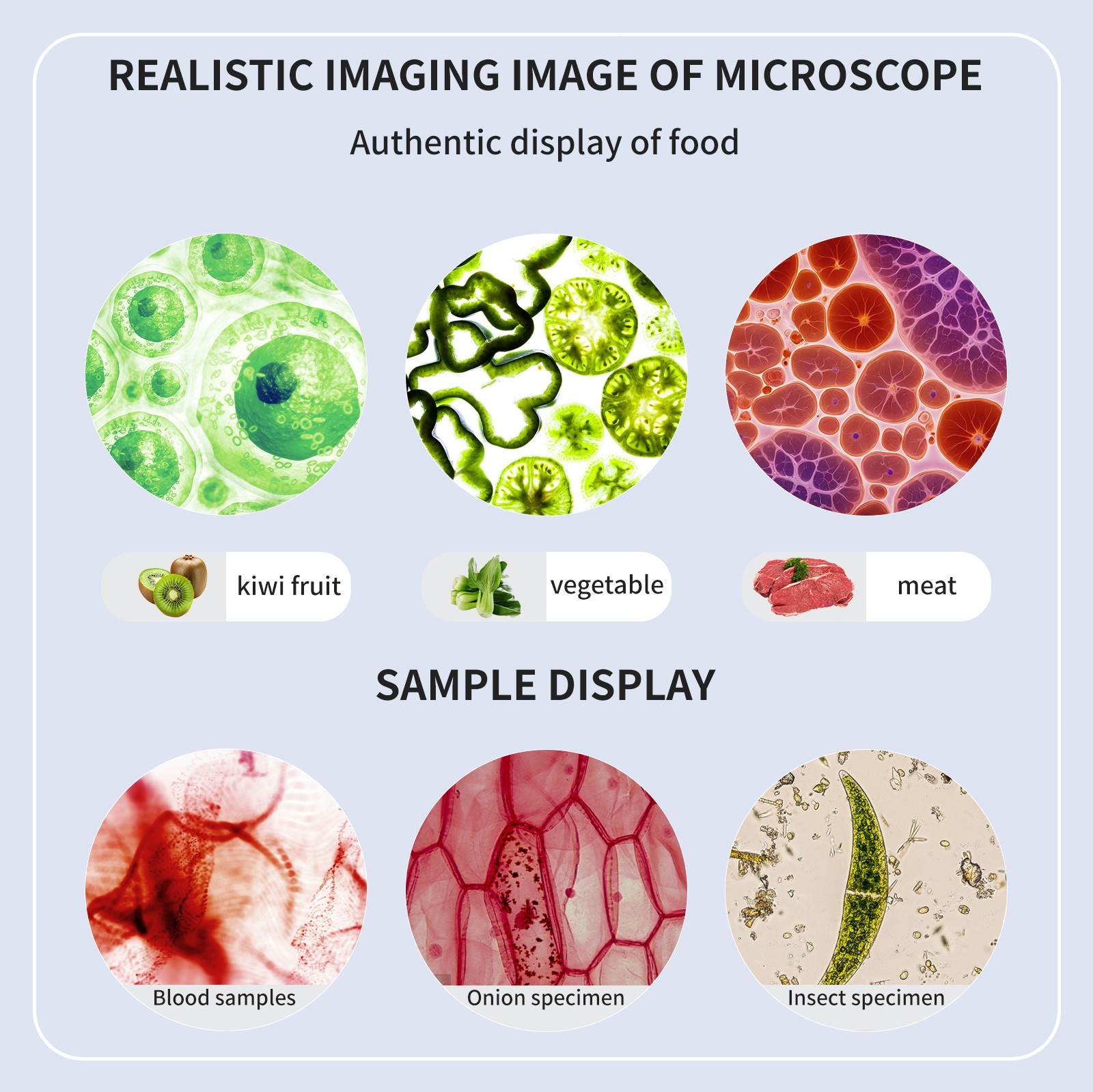 2000X zoom binocular optical microscope with electronic eyepiece, laboratory bin