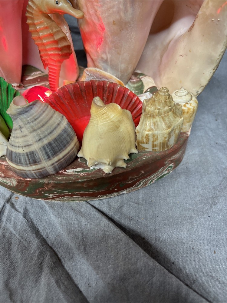 Handmade Sea Shell Display With Light
