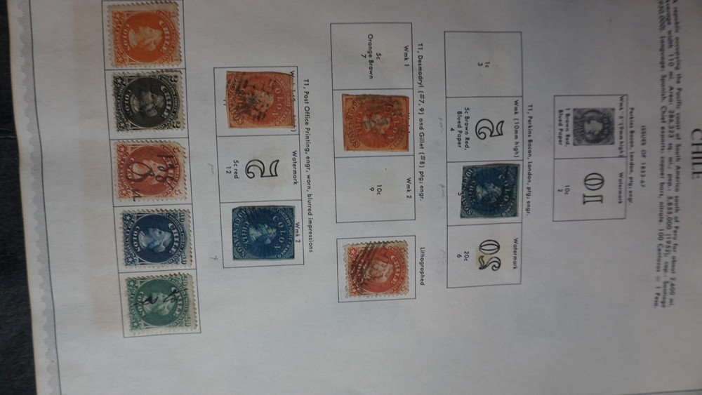 Chile fine collection on pages