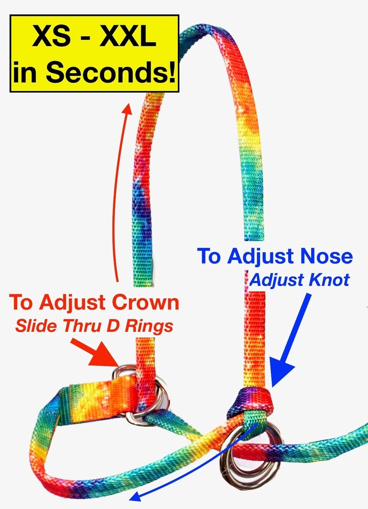 Halter All SMALL Yearling Calf, Mini Cow Endless Adjustable Breaking PATTERN USA