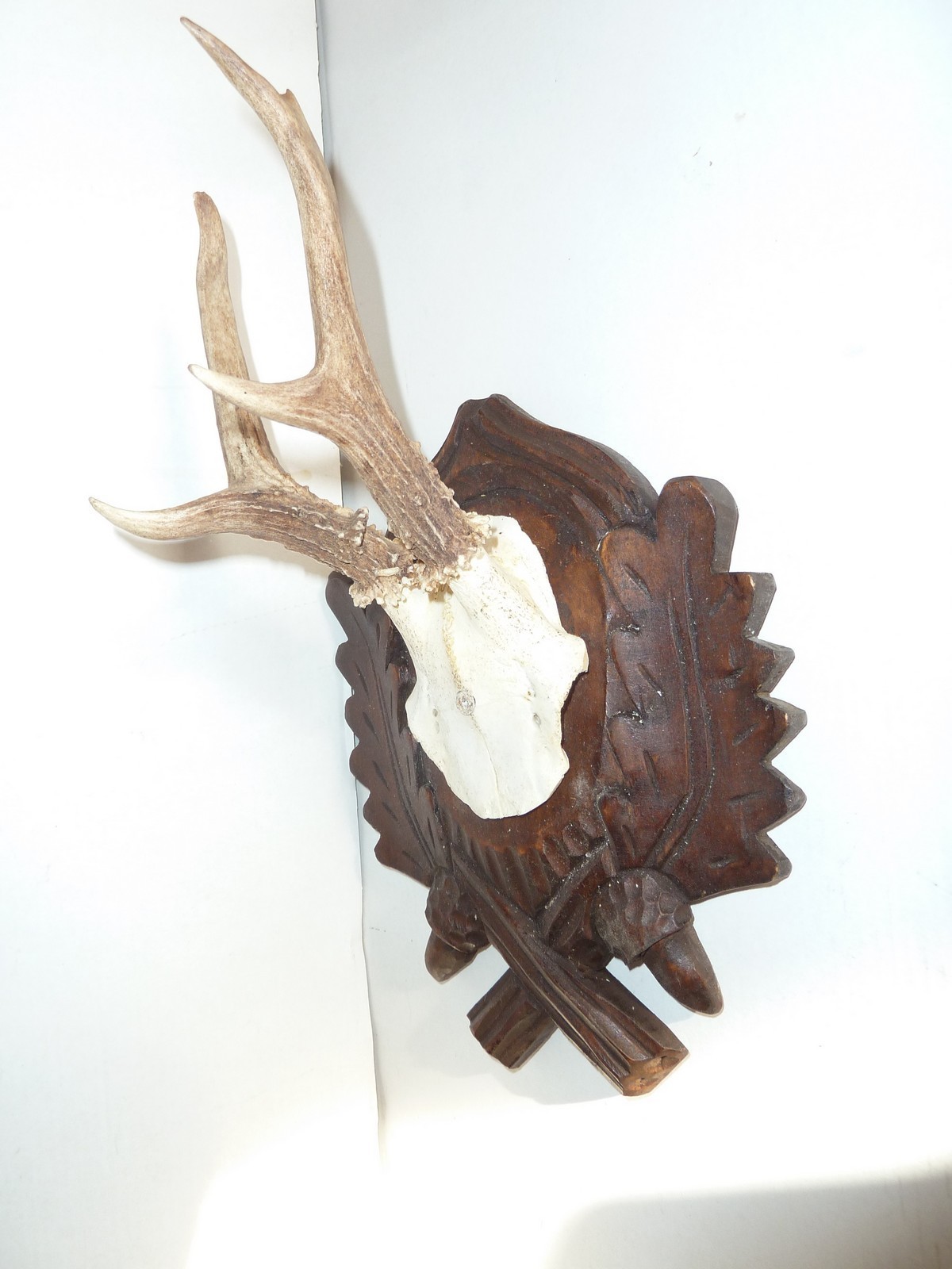 PAIR BLACK FOREST CARVED ROE DEER ANTLERS MOUNTS