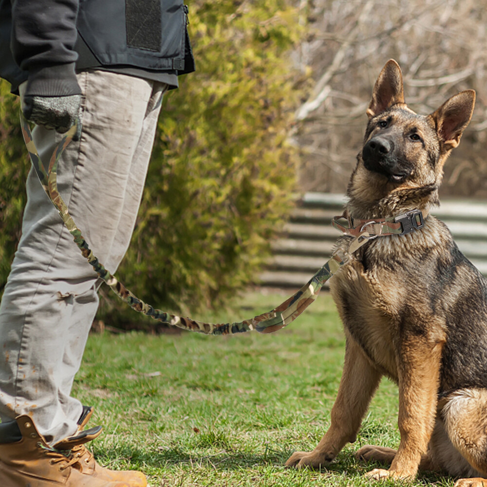 Leash + Collar Heavy Duty K9 Tactical Training Pet Dog Metal Buckle M, L, XL New