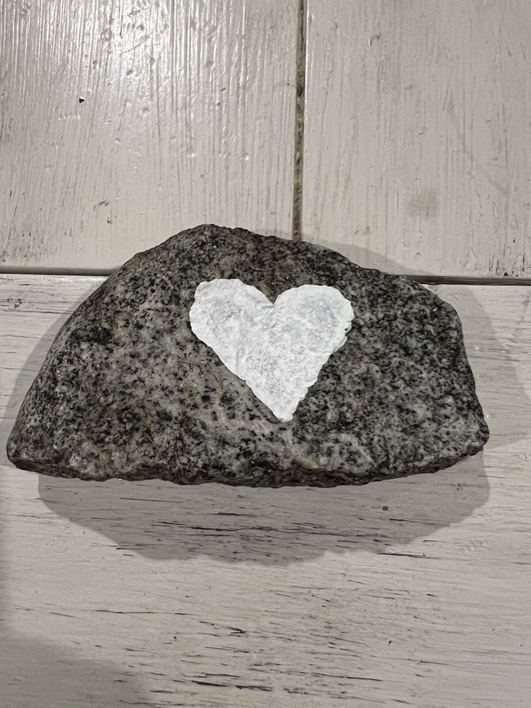 Hand painted Sarcasm Message Rocks