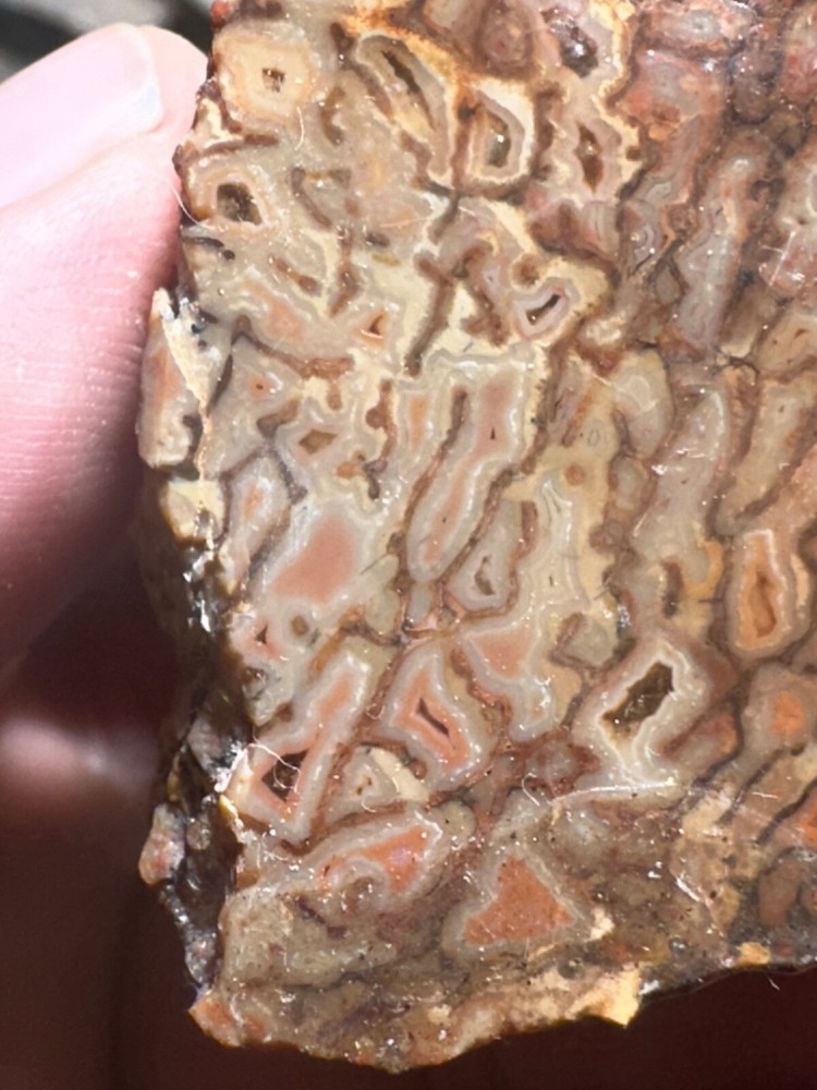 Dinosaur bone rough **hxtled chunk.