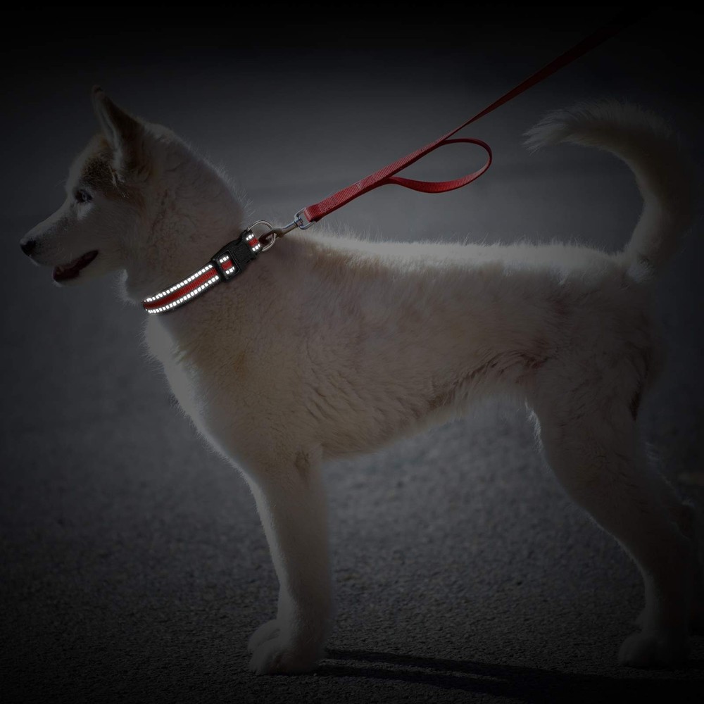 3 PCS Reflective Dog Collar Nylon Adjustable Quick Release Pet Medium Set