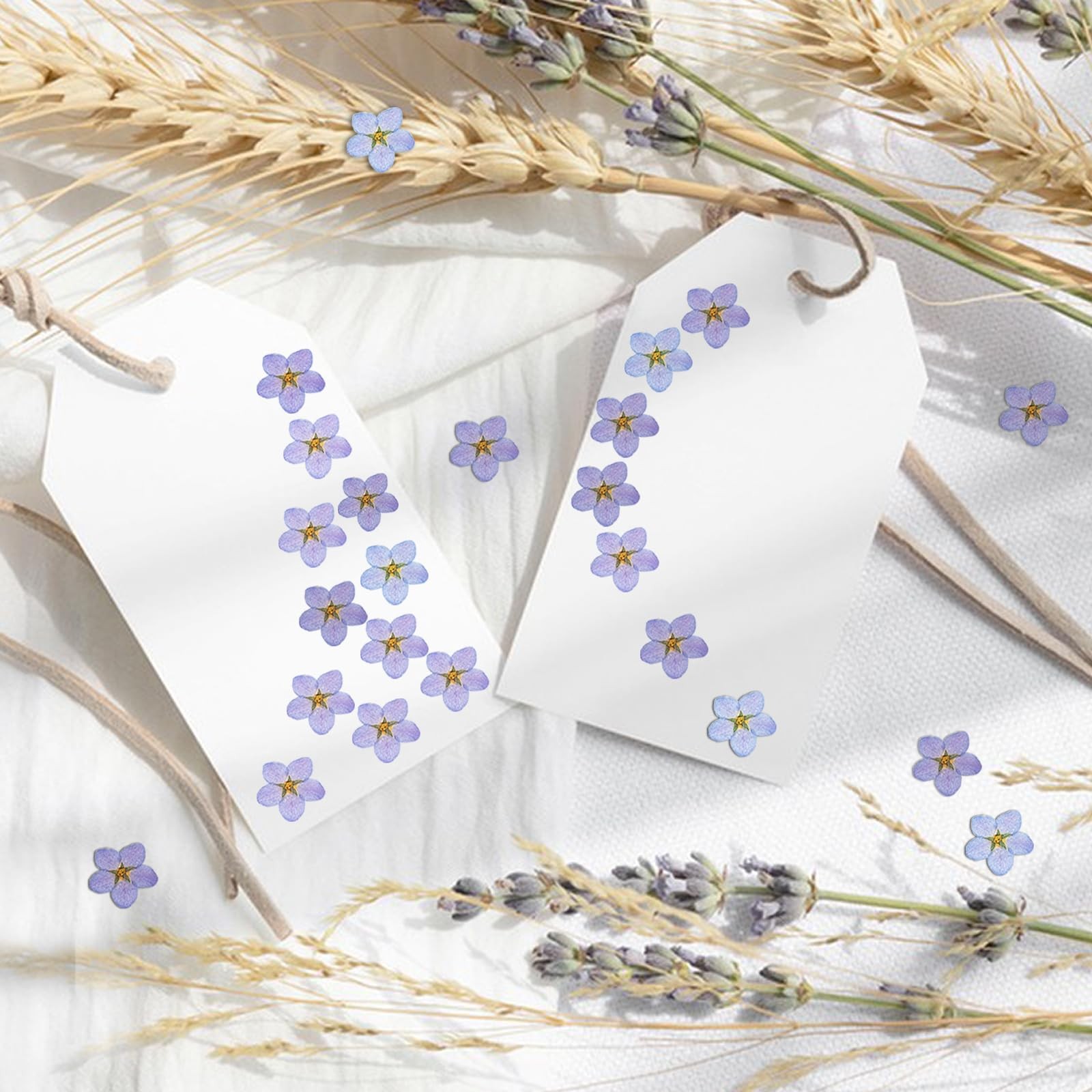 60Pcs Natural Forget Me Not Dried Flowers Real Dried Pressed Flowers Blue Don...