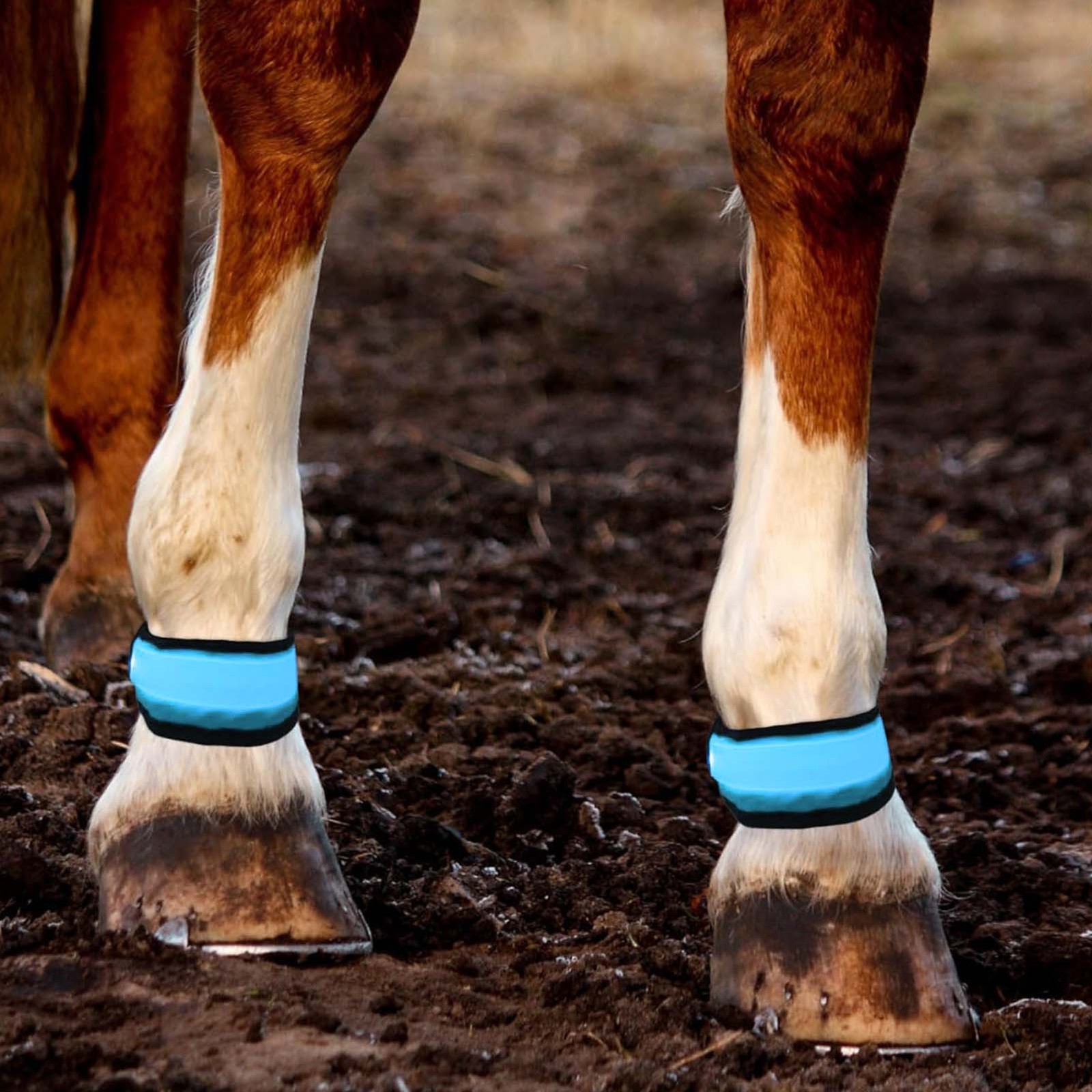 4pcs LED Horse Leg Band Reflective Animals Foot Wraps