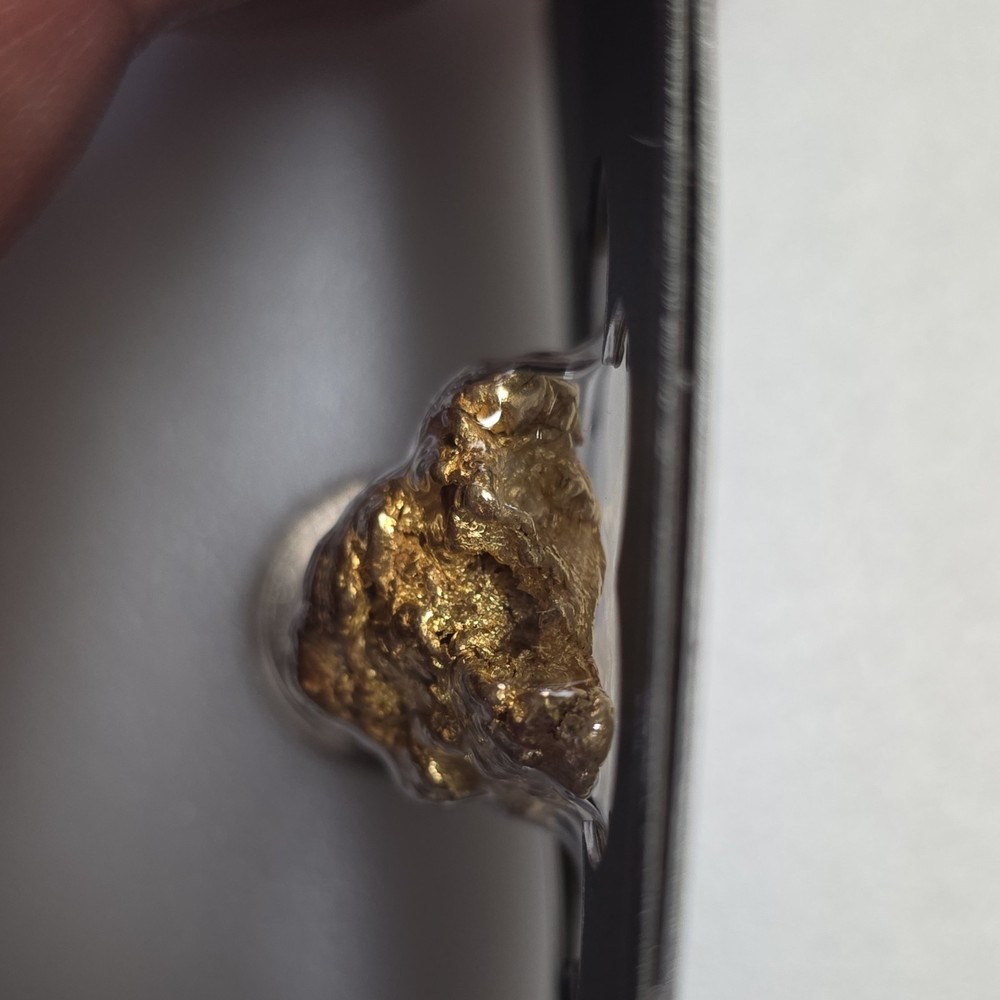 Gold Nugget 34.89 grams