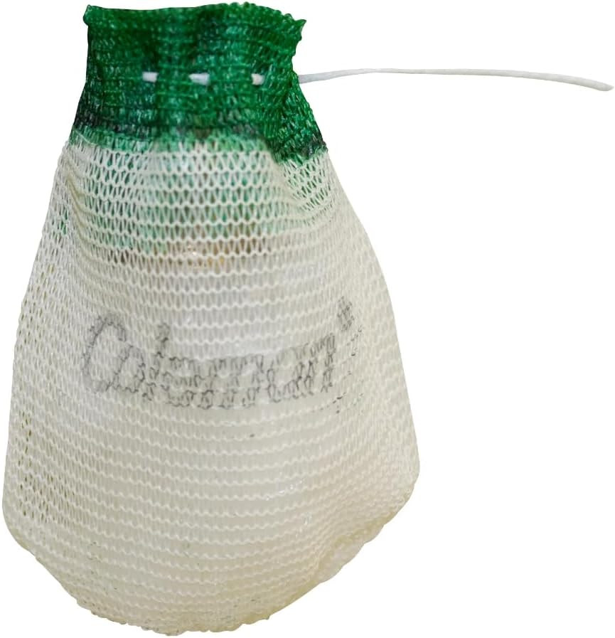 Coleman 4-Pack String Tie Lantern Mantles, Four Lantern Mantles for Fueled Light