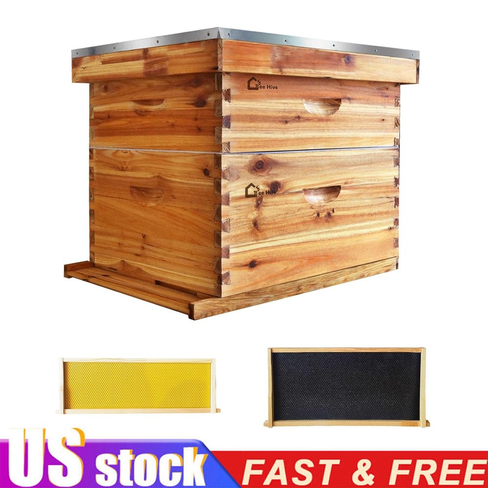 10-Frame Complete Beehive Frame Kit Wax Coated with 1 Deep Box 1 Medium Bee Box