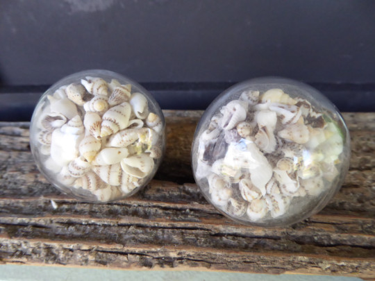 SEASHELL Sea Shell Clear Glass Decorative Drawer Pull Knob Beach Nautical Decor