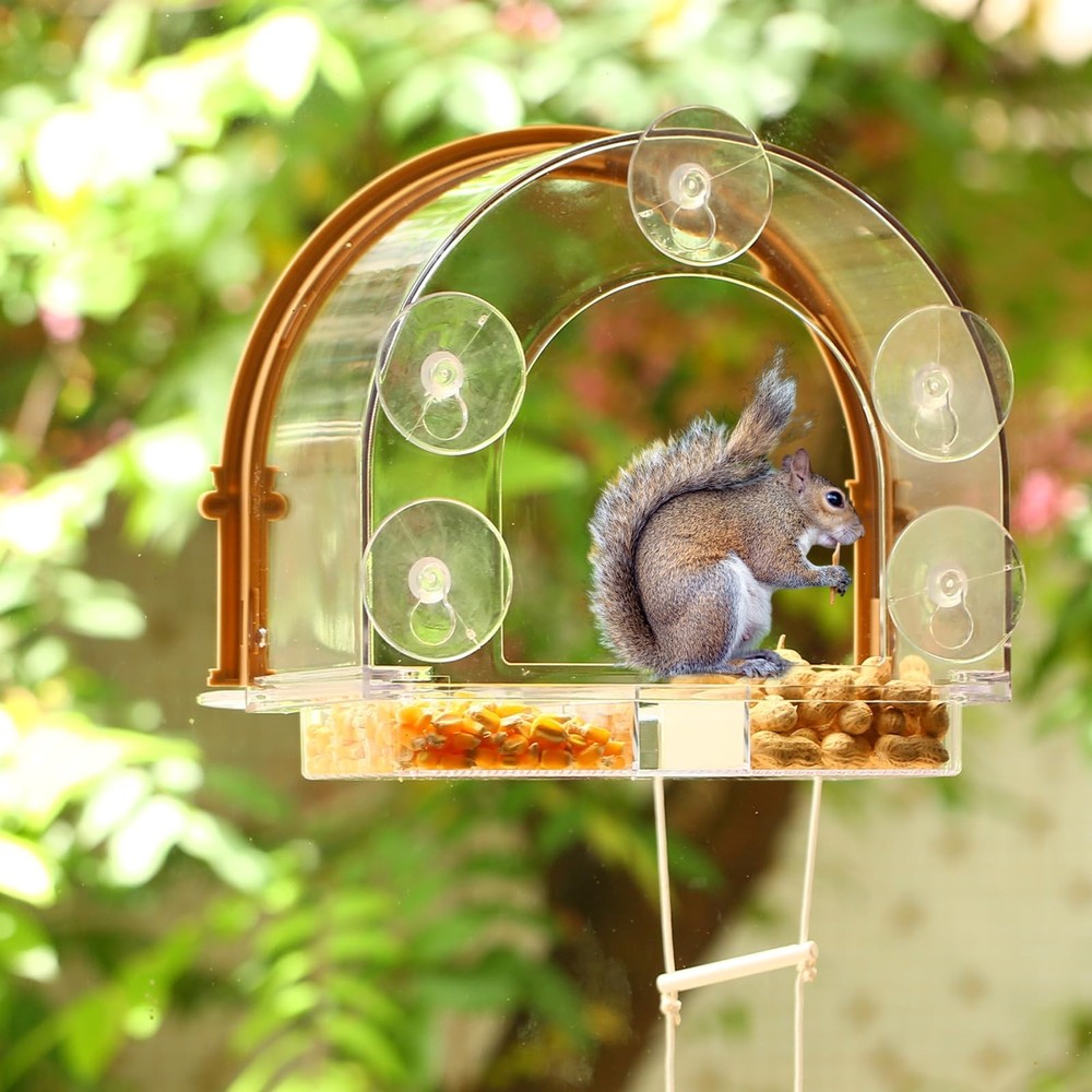 Window Squirrel Feeder Large Outside House 5 Suction Cups Clear Plastic