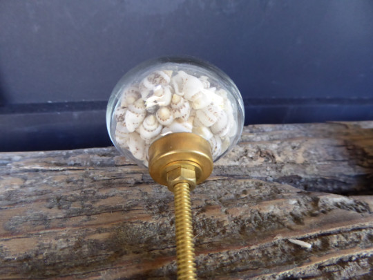 SEASHELL Sea Shell Clear Glass Decorative Drawer Pull Knob Beach Nautical Decor
