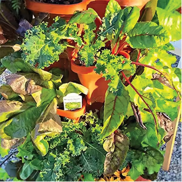 Mr. Stacky Vertical Planter Terracotta Plastic Stackable Self-Watering (5-Pack)