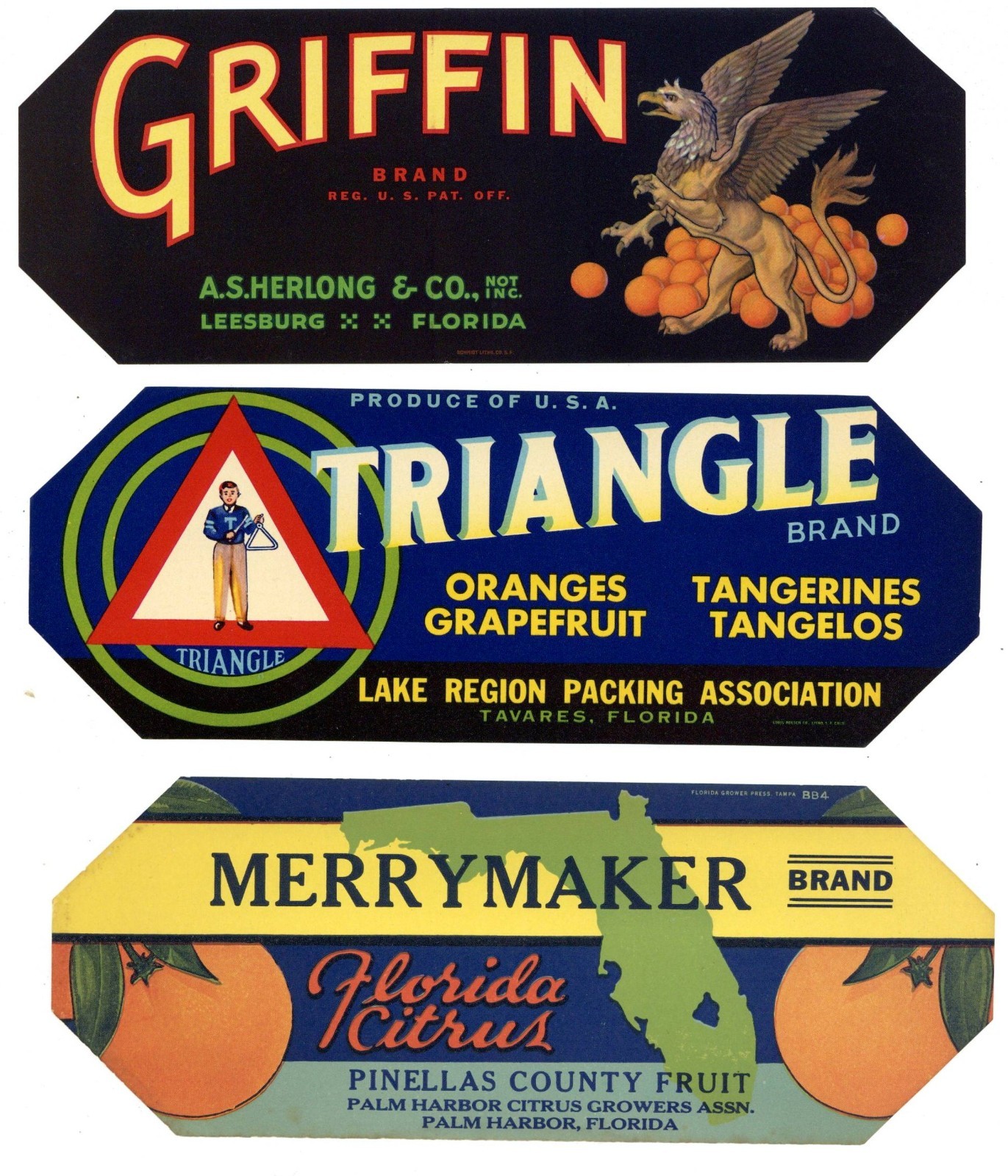 Collection of 25 Different Florida Citrus Labels **ORIGINAL FRUIT CRATE LABELS**