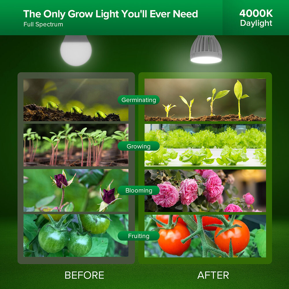 SANSI Grow Light Bulb LED 350W Equiv PAR25 32W Full Spectrum 4000K Energy Saving