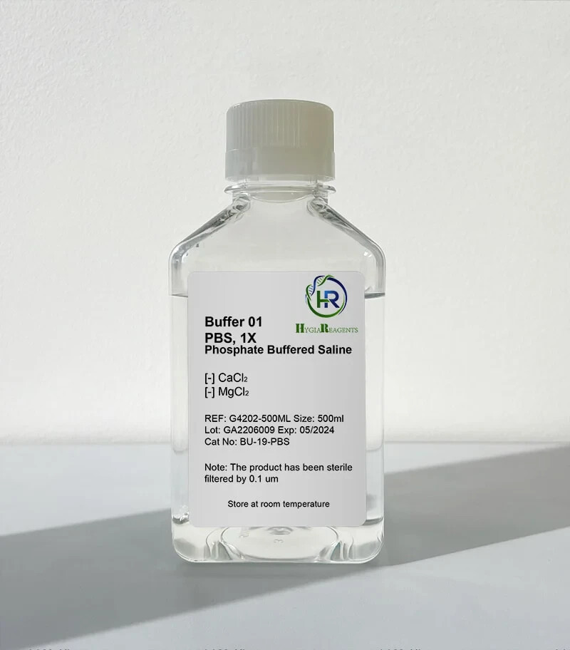 Phosphate buffered saline (PBS) 500 ml