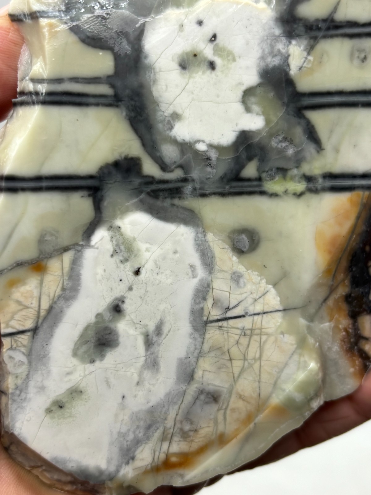 Picasso Marble (Jasper) end Slab Cabbing Lapidary Utah Combo Ship Avail