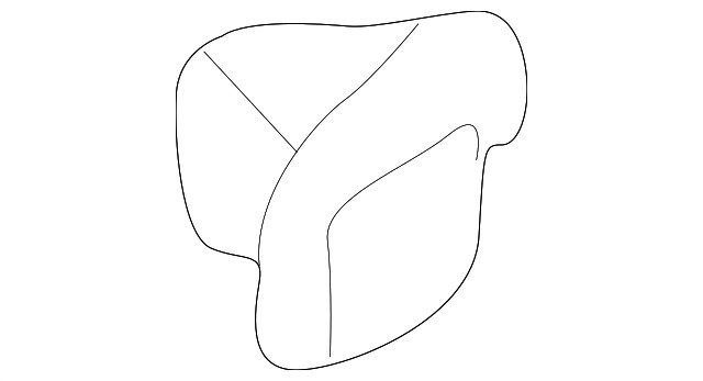 Genuine GM Handle Outside Clip 12376706