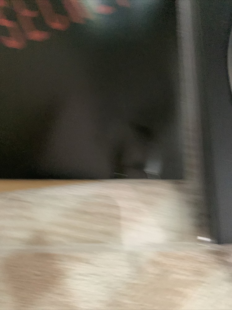 The Black vault CD-ROM