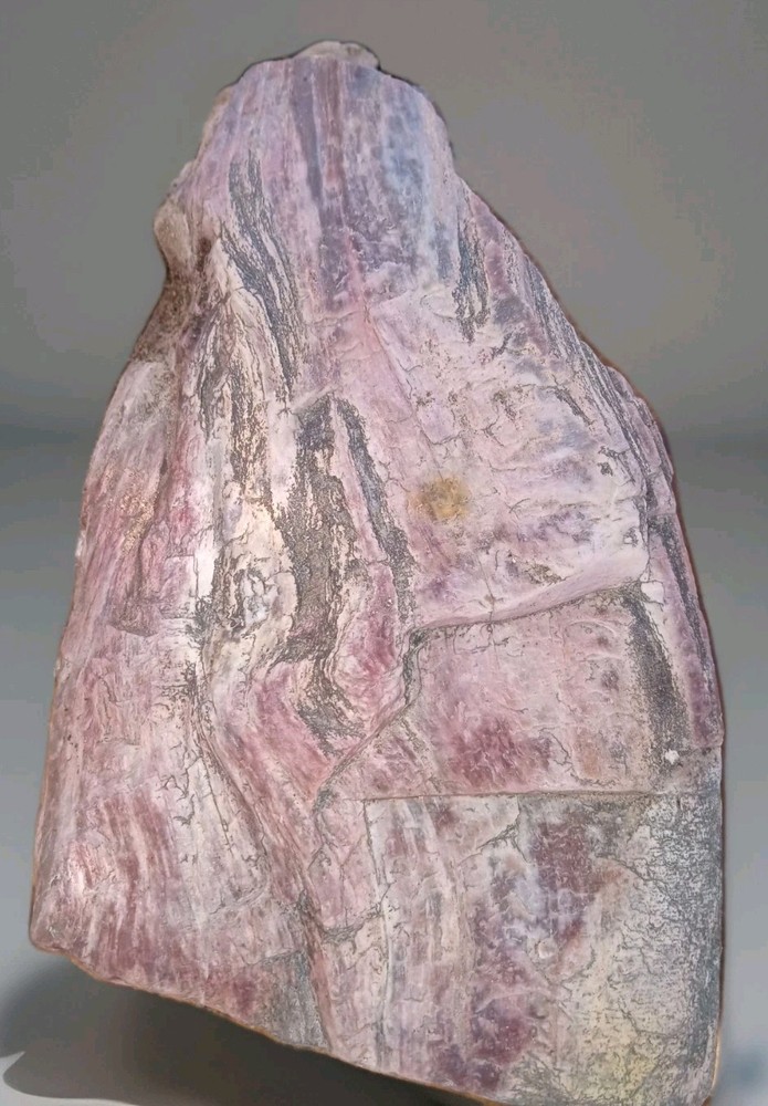 Pink Petrified Wood Rough 2 lbs+ AZ