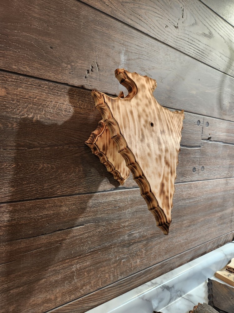 European Deer Skull Mount Plaque And Wall Mount