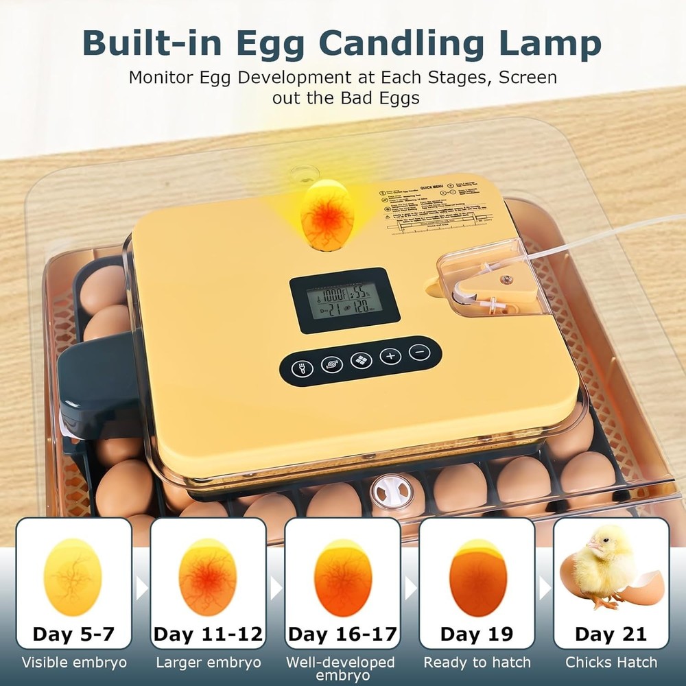 56-Egg Incubator: Temp & Humidity Control, Automatic Turner & 360° View