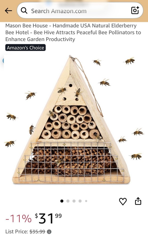 Mason Bee House
