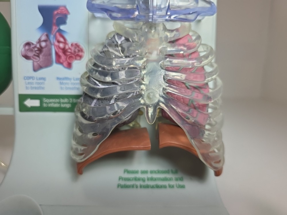 Vintage Pfizer  Lung Display Model - Interactive Pump-expanding Lungs Works