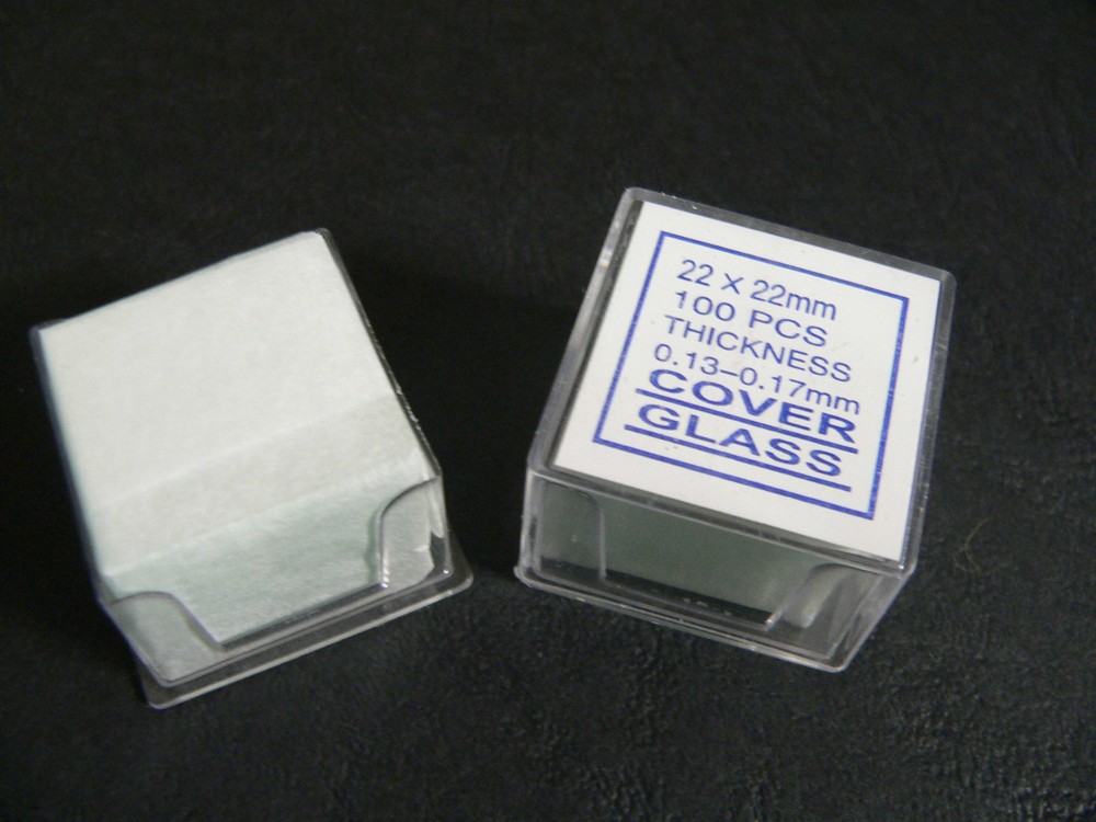100 Glass Slides Covers Objects Microscope 22 x 22mm Deckgläse Mikroskop
