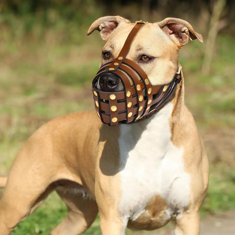 Pitbull Dog Muzzle for Large Dogs - Leather Breathable Secure Basket Muzzle for