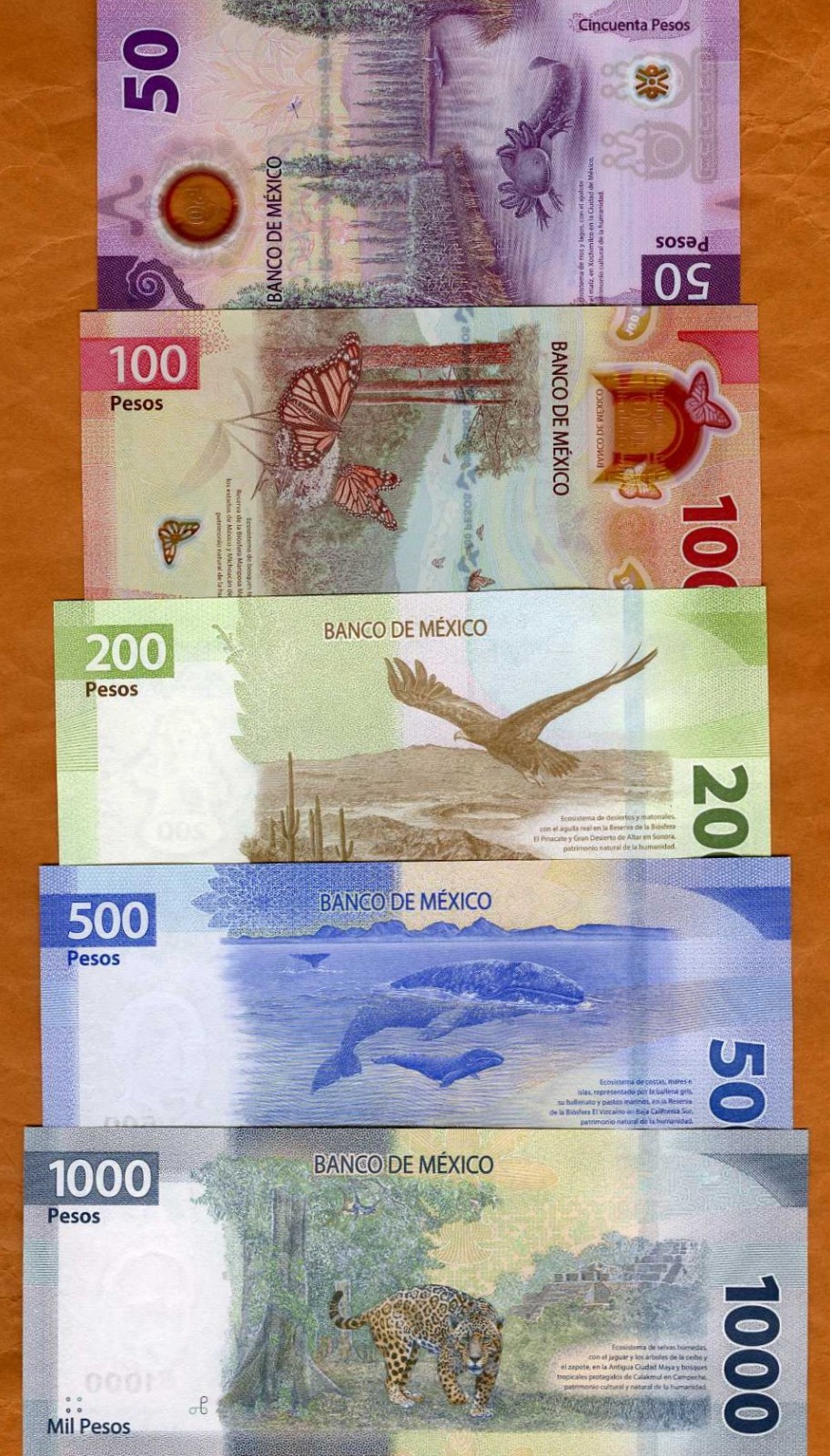 SET Mexico, 50-100-200-500-1000 Pesos, 2024 (2025), P-New UNC Commemorative