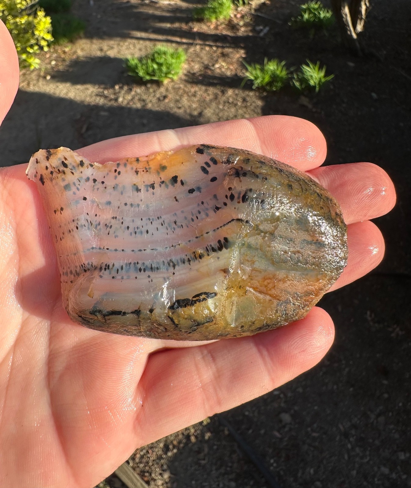 Montana Moss Agate End Cut, 58g, Cabbing/Lapidary