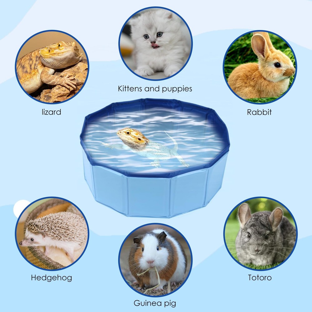 Foldable Bearded Dragon Bathtub, Pool, Blue