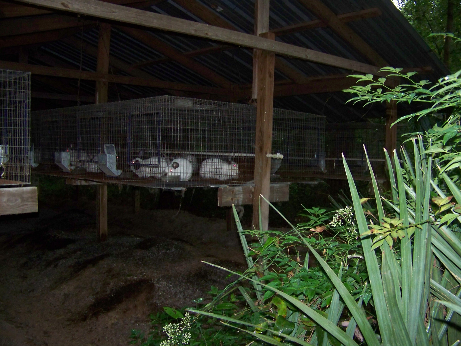 20 LBS Rabbit Manure Poop Organic Garden Plant Fertilizer