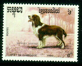 CAMBODIA 1990 DOGS  Springer Spaniel