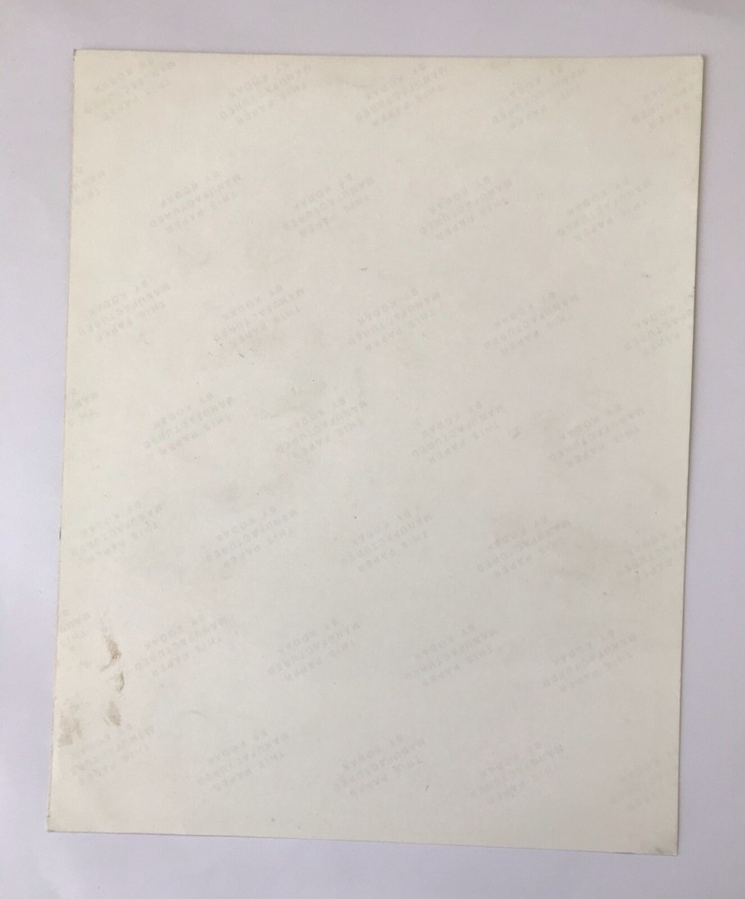 VAN HALEN 1982 83 DIVER DOWN Tour David Lee Roth Original Photo Only 1 Available