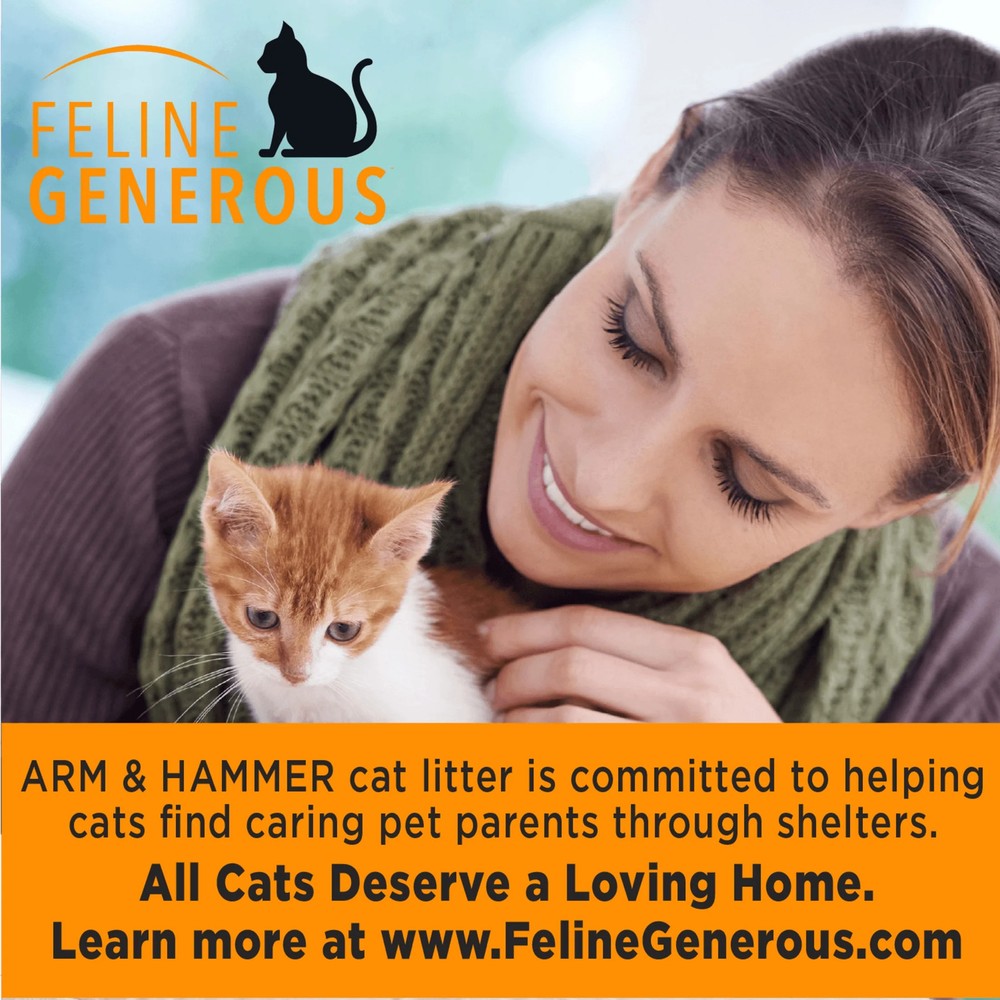 Multi Cat Clumping Litter Odor Control
