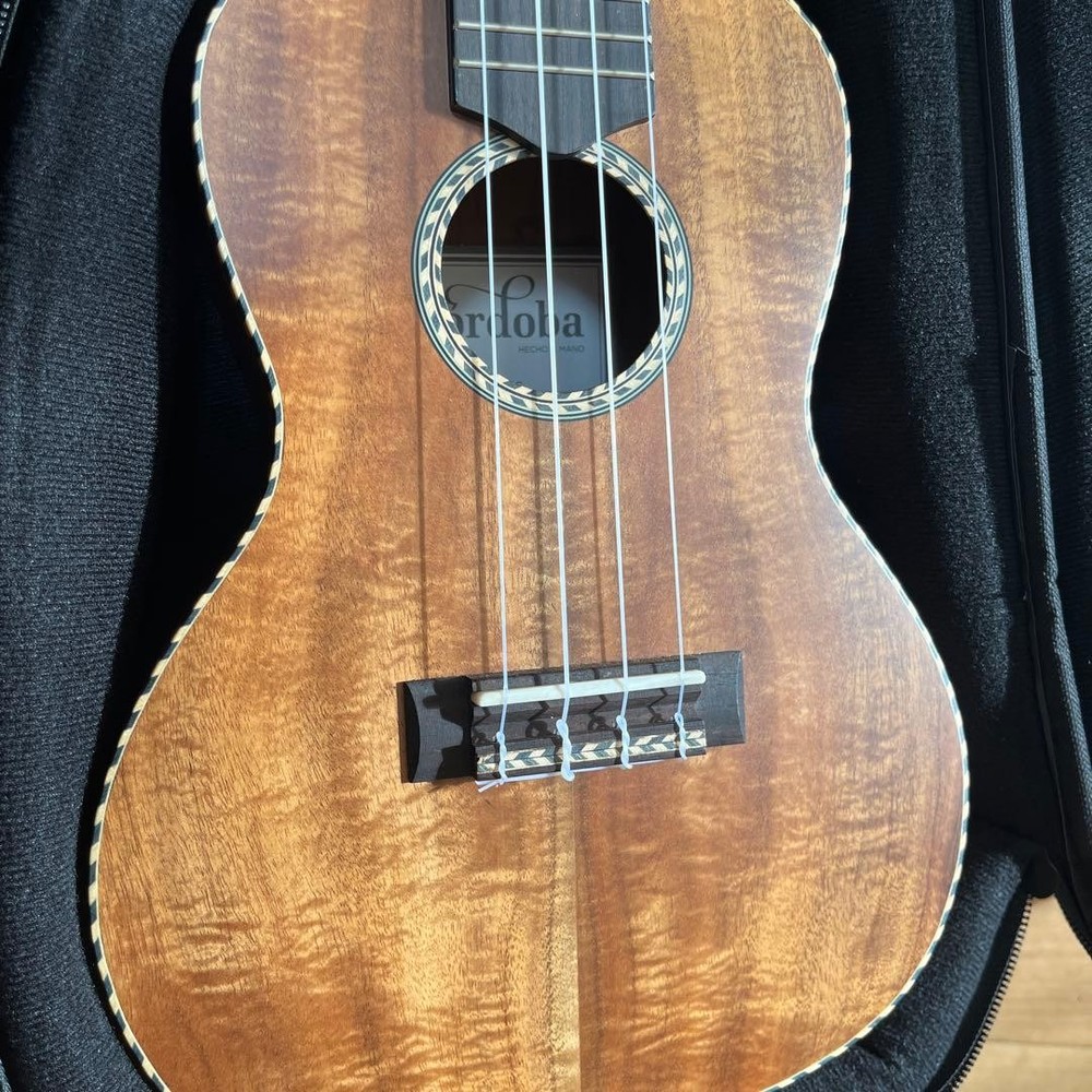 Cordoba ukulele c25