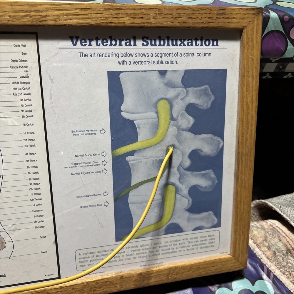 Autonomic Nervous System Light box