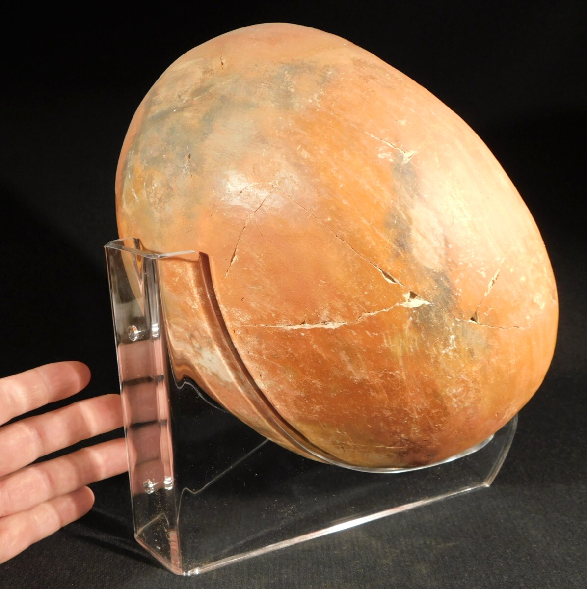 Easel Display Stand Clear Lucite LARGE Size Wall Mountable