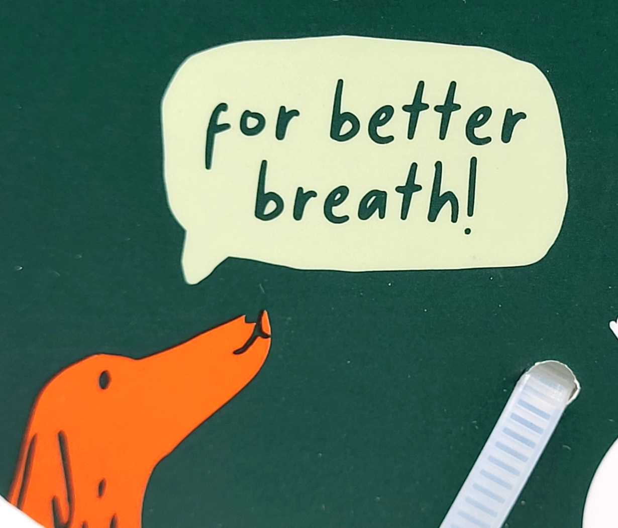 Woof Bite n' Brush Large Treat Holder Toothbrush Tough Non Toxic For Dogs 7.5"