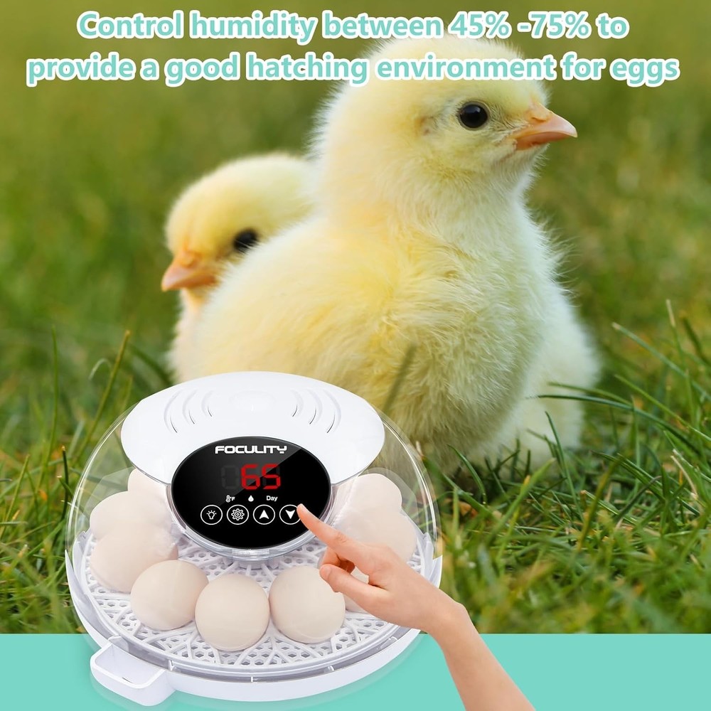 Egg Incubator for Hatching Chicks, Holds 12 Eggs, Automatic Egg Turner with T...