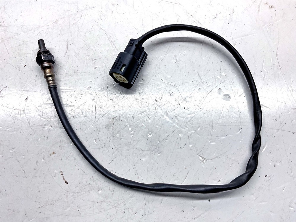2021 Harley-Davidson Iron 1200 XL1200NS Lambda Sensor