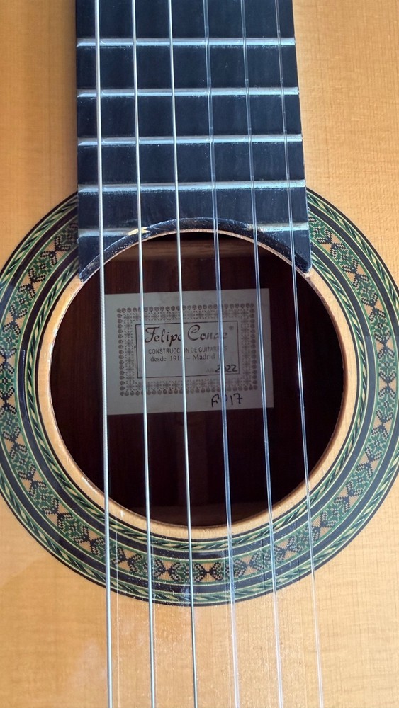 flamenco guitar