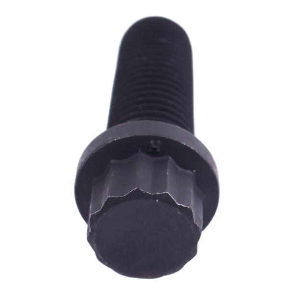 205584 Twelve-Point Cap Screw