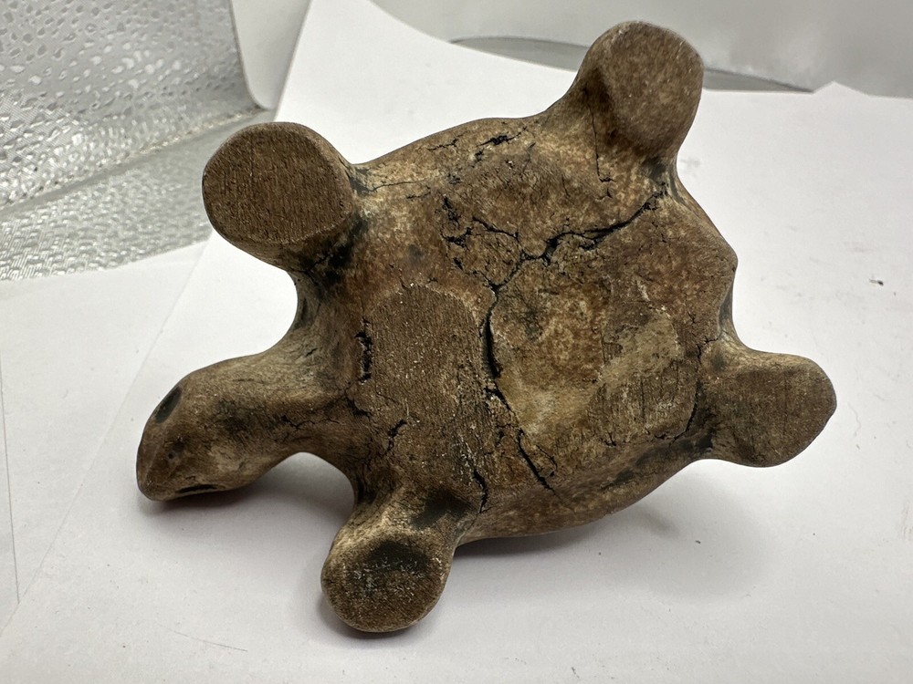 Stone Turtle