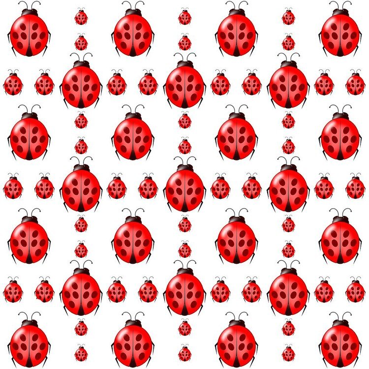 CafePress Red Ladybug Pattern 10" Wall Clock (1351735609)