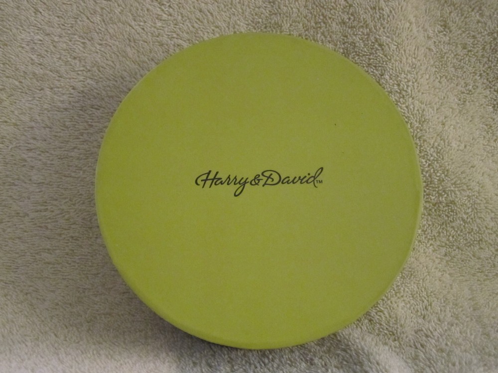 Harry & David Empty 6 1/4" Rnd. Cardboard Storage Box