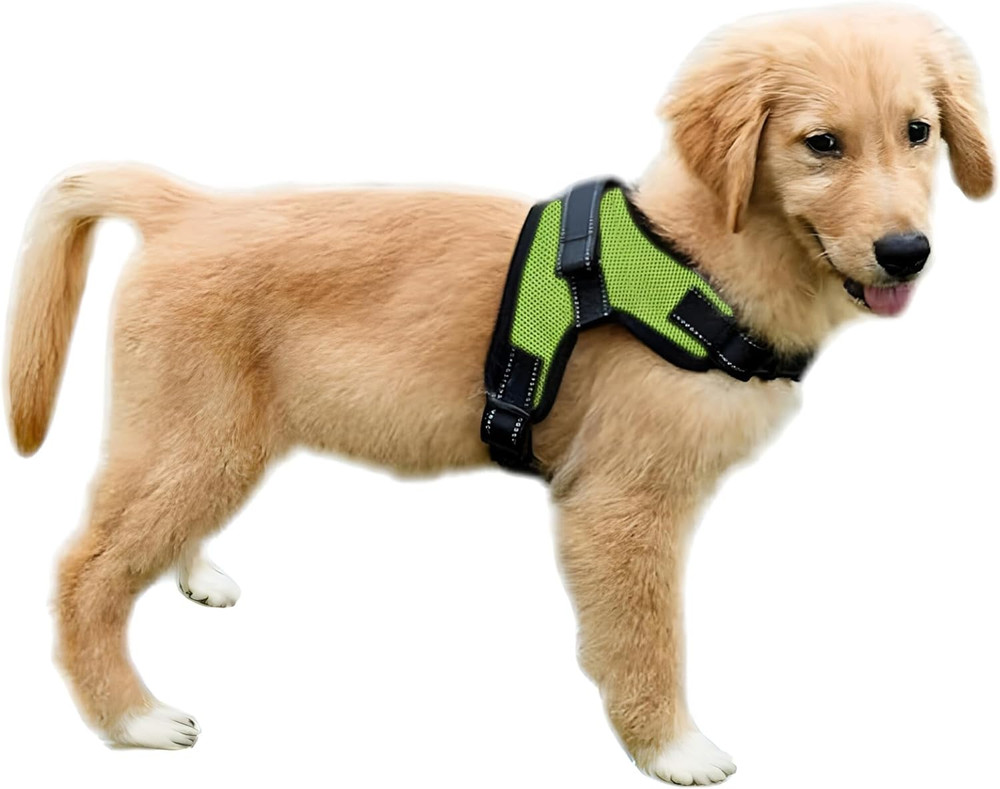 No Pull Reflective Adjustable Dog Harness with Handle- Comfortable Soft All Wea